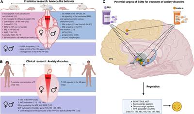 Molecular actions of sex hormones in the brain and their potential treatment use in anxiety disorders